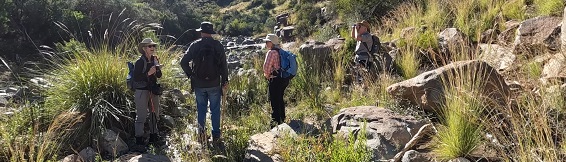 Wetland Birding